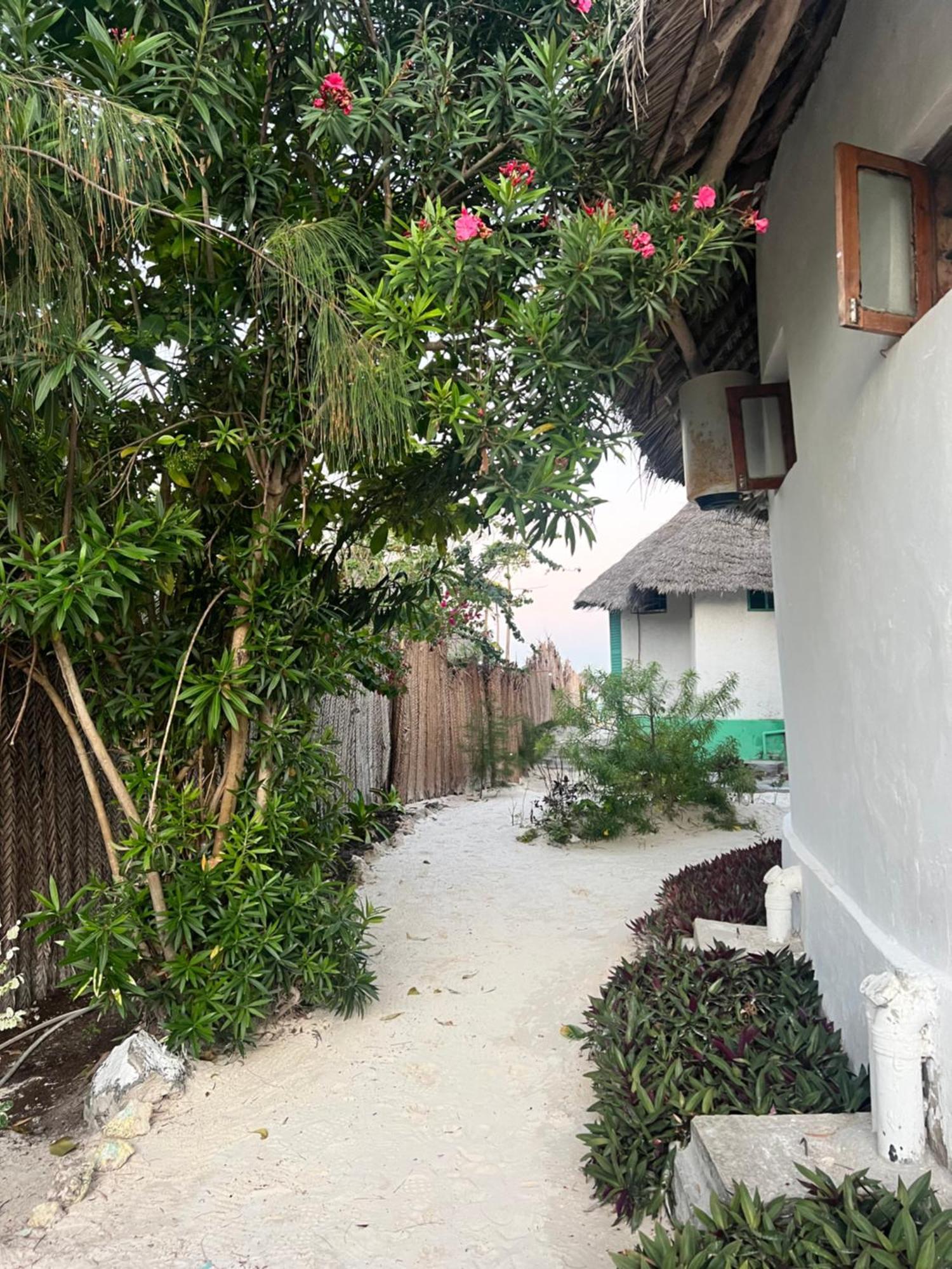 Duara Beach House Otel Paje Dış mekan fotoğraf